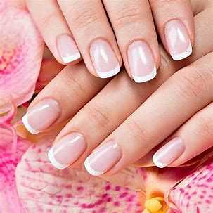 Close-up of hands showcasing French manicured nails against a background of pink flowers.