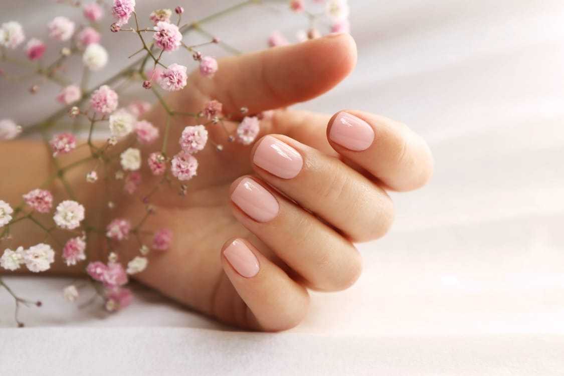 Hand with pink manicured nails holding delicate baby's breath flowers.